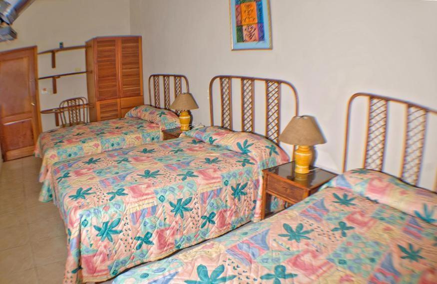 Carey House Hotel Santo Domingo Zewnętrze zdjęcie
